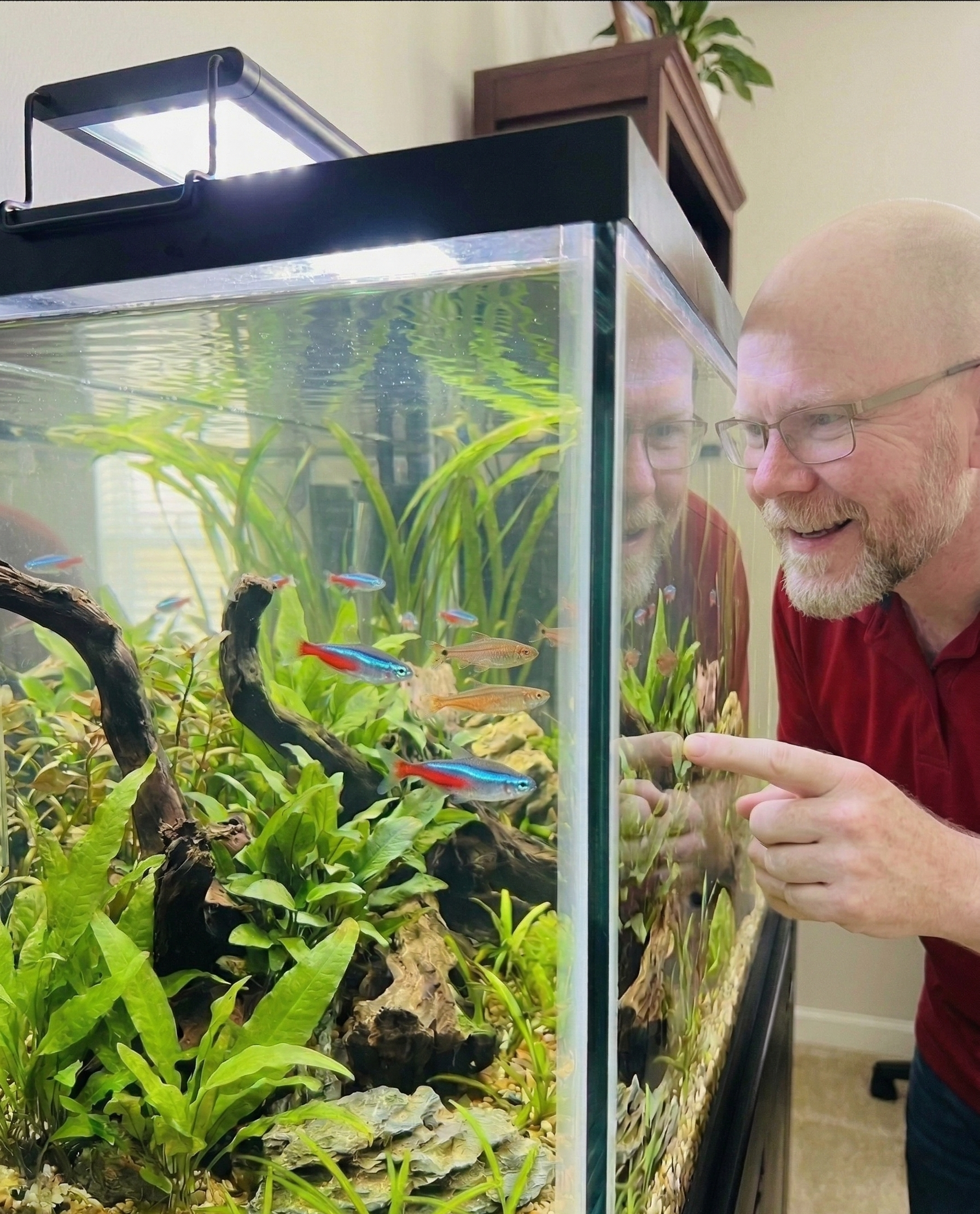 Diamond Dave smiling beside a planted aquarium